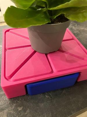 Plant saucer