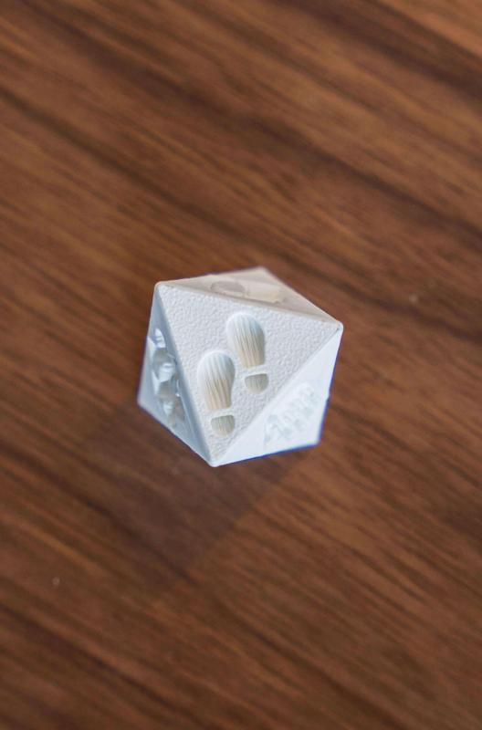 Reflection Dice