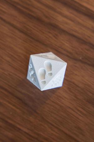 Reflection Dice