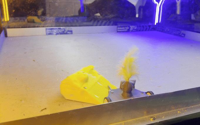 Provolone Ranger - 150g Antweight Robot