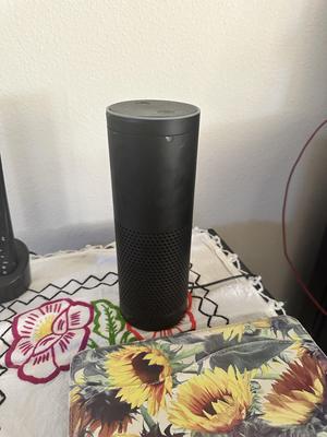 Alexa top cover repair