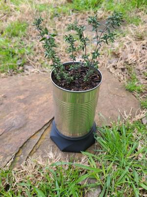 Upcycled Planter Can