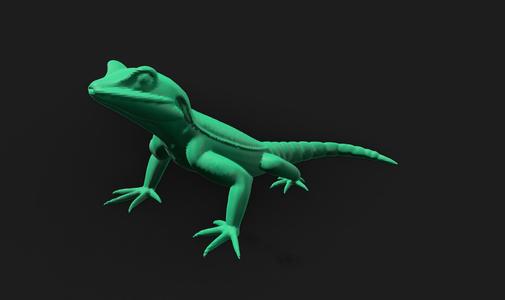 Lizard