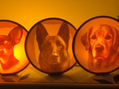 Dogs light stands