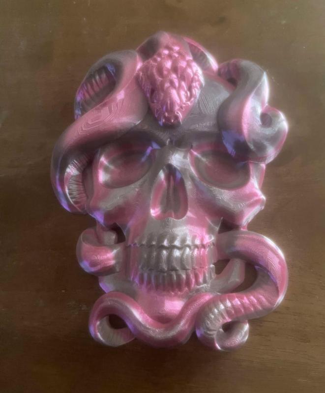 Snake wrapped skull 