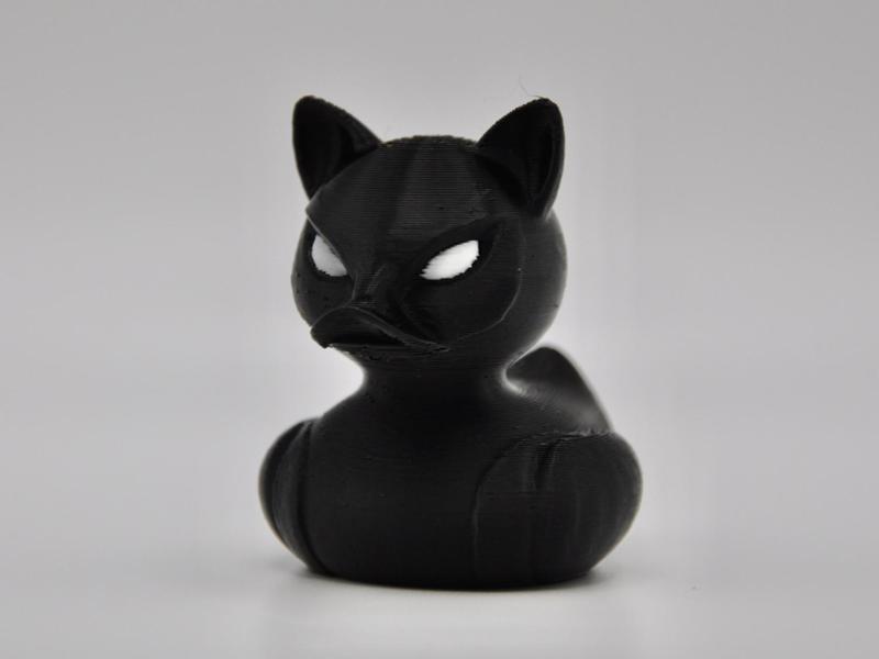 Black Cat Duck