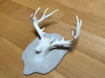 Deer Antlers Trophy