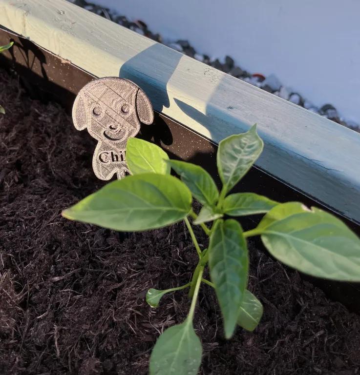 Plant Sign   