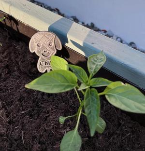 Plant Sign   