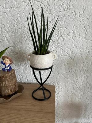 The Spiral Throne for Your Plants   
