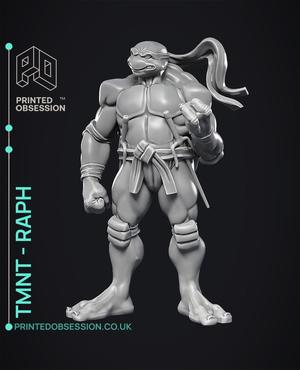 Raphael - TMNT - Fan Art