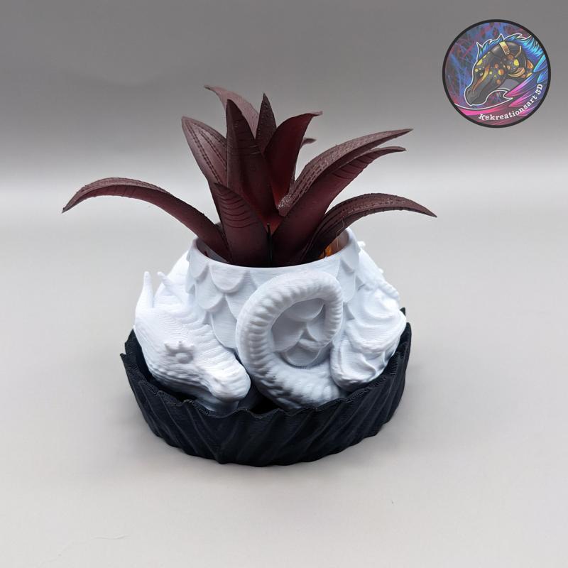 Dragon Planter + Box