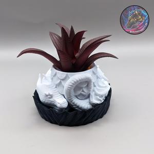 Dragon Planter + Box