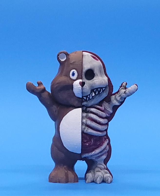 X-Ray bear