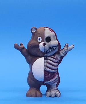 X-Ray bear