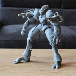 Makertroon defender