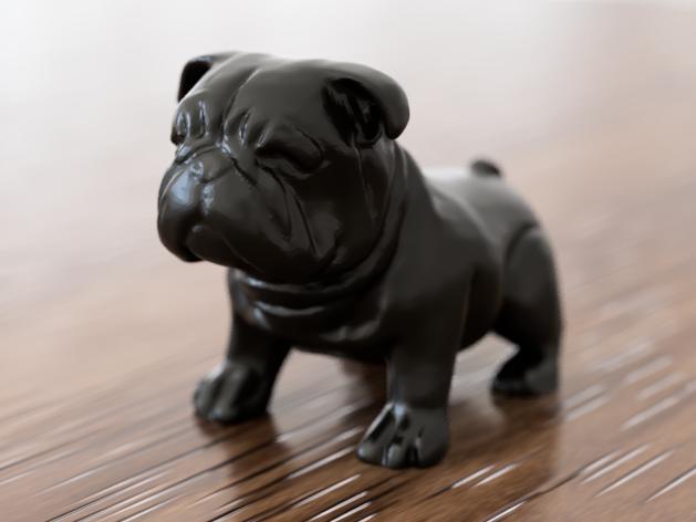 Bulldog dog