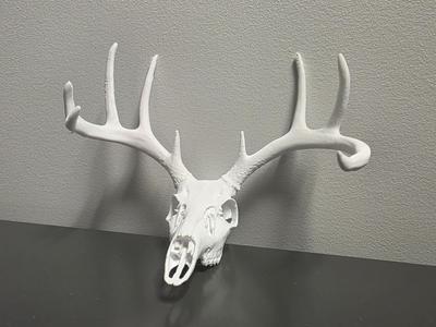 "Cole's Buck" Deer Skull