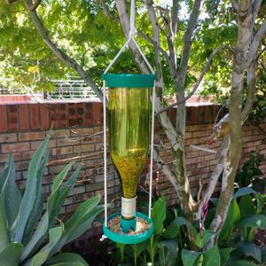 Wine Bottle Bird Feeder