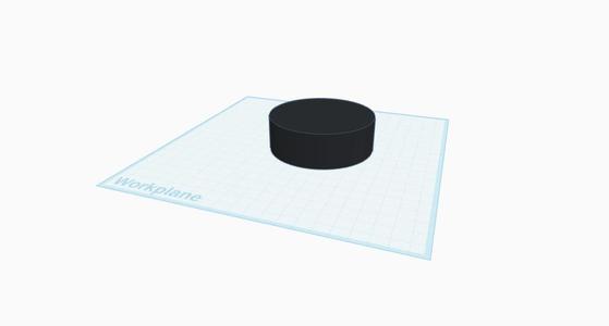 Hockey Puck