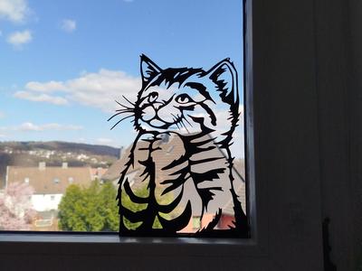 Window Cat