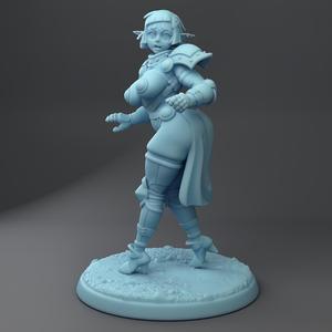 Pointless Armor Elf
