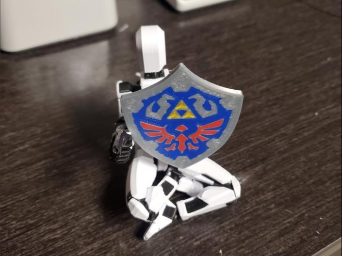 Dummy 13 Link Shield