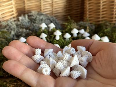 Stochastic Mushroom Magnets (Small)