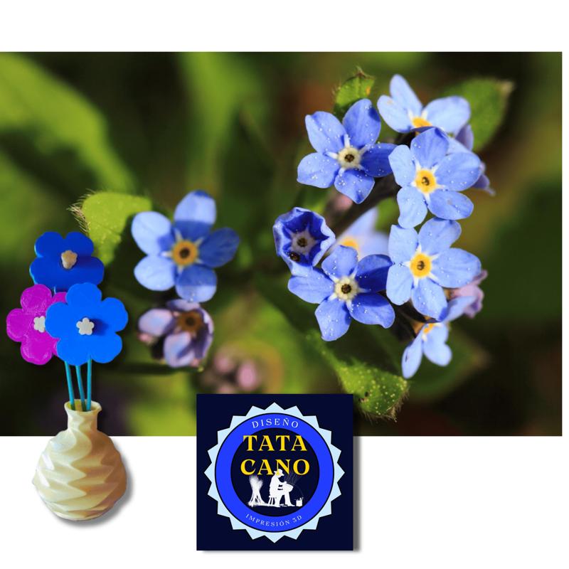 Flores No Me Olvides (Forget me not Flowers)