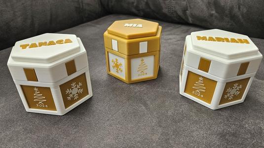 Christmas Tree, Tree 2024 and Snowflake panel