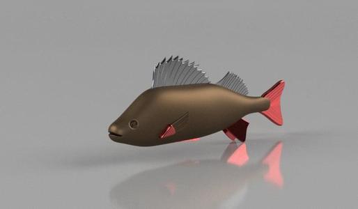 Okoń ryba perch