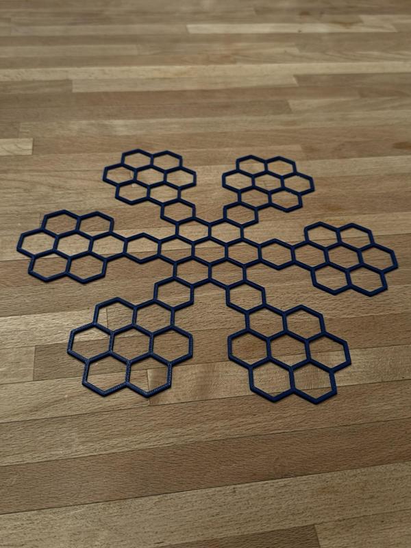 Schneeflocke / Snowflake
