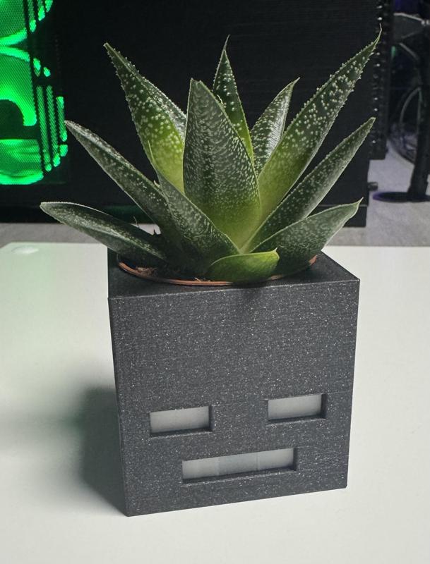 Minecraft Witherhead Planter MMU