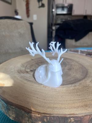 Horned Slug