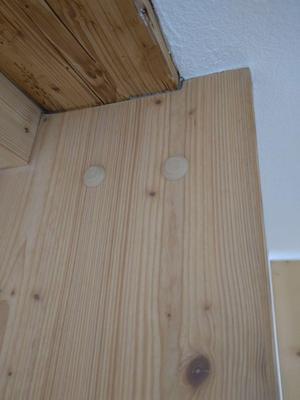 Wooden Screw Cover