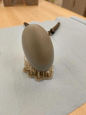 Gator Egg (3D Scan)