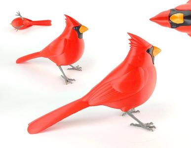 Northern Cardinal "puzzle"