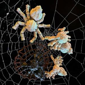 Pumpkin Spider