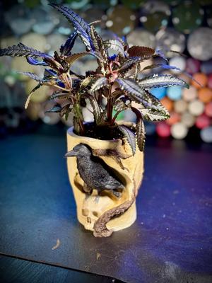 The Raven's skull planter