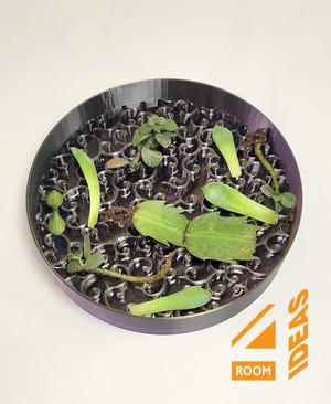 Succulent Propagation Tray - Karasuka