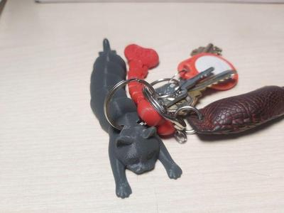  Flexi Holding Cat (Print-in-place) - keychain