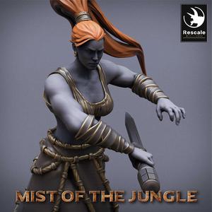 Heavy Amazon Dagger Attack