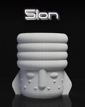 Slon