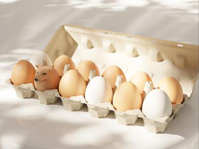 Shiba Egg