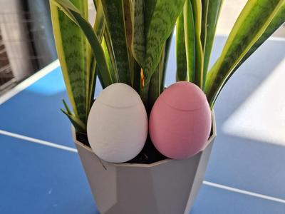 Self watering egg