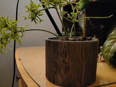 Wood grain Plant pot