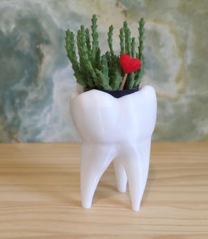 Tooth vase - Vaso de dente (EASY PRINT NO SUPPORT)