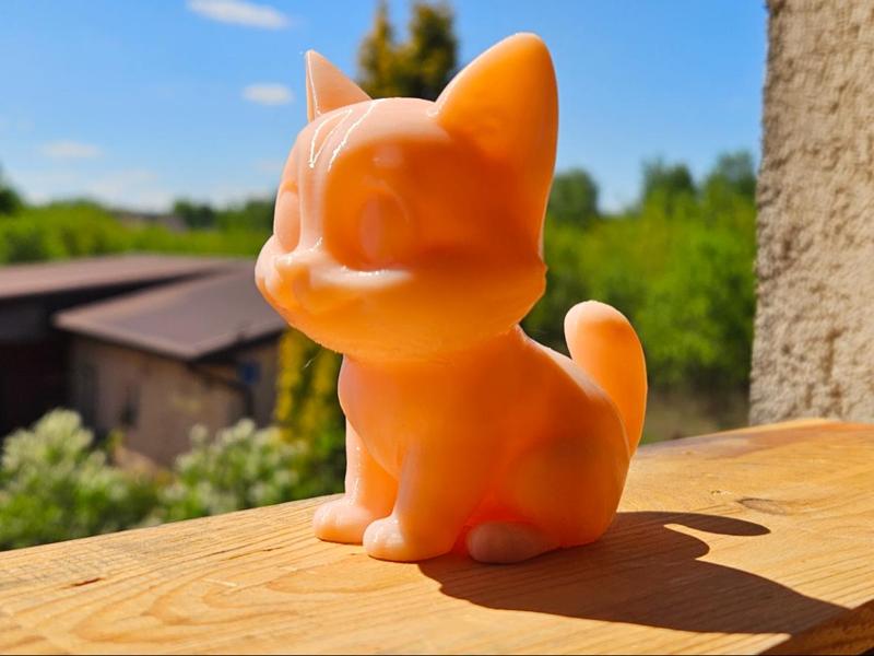 Cute Cat