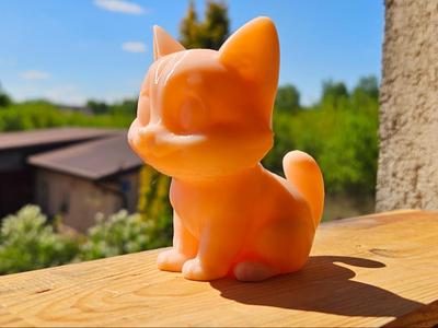 Cute Cat