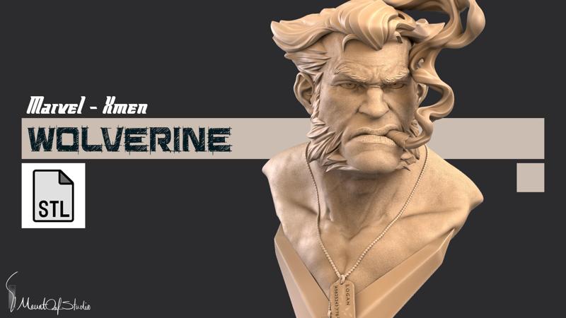 Wolverine - Marvel X Men